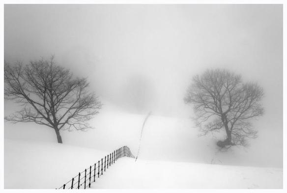 Photography by Hwang Moon-sung