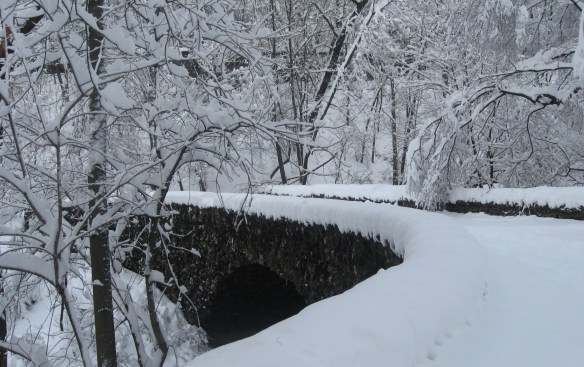 moontaejunsnowannerashid